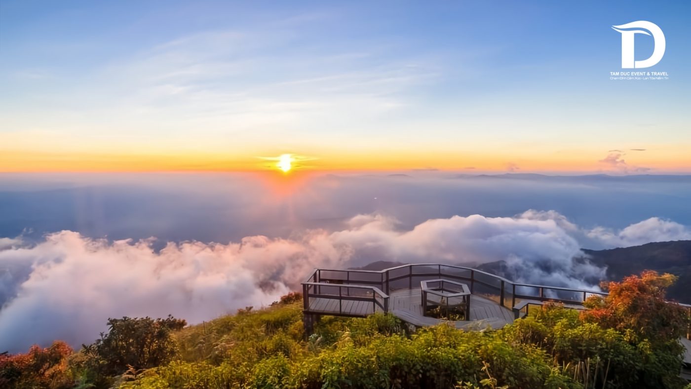 Tâm Đức Event & Travel 