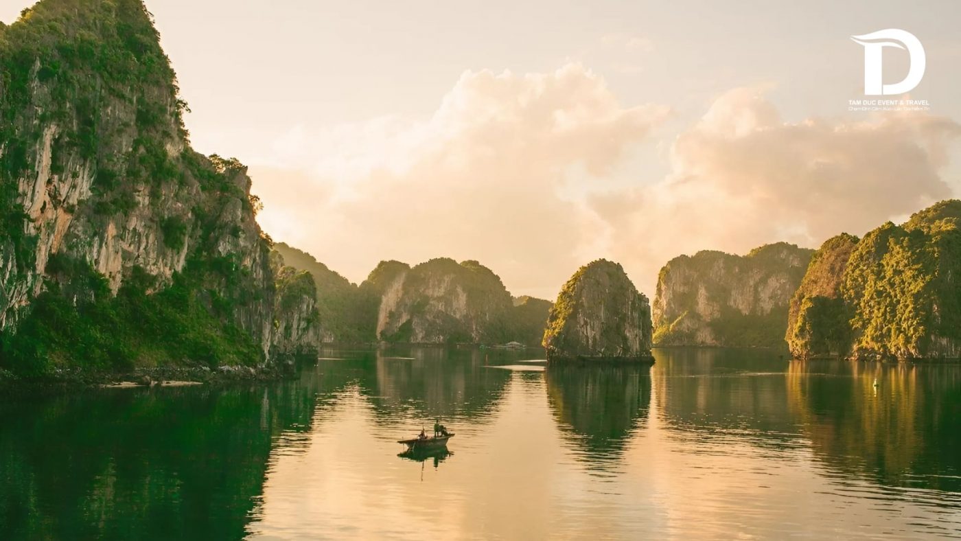 Tâm Đức Event & Travel 