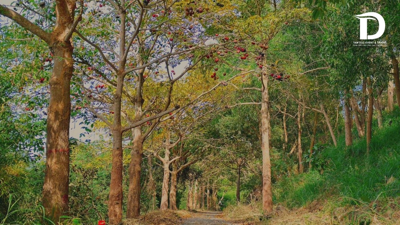 Tâm Đức Event & Travel 
