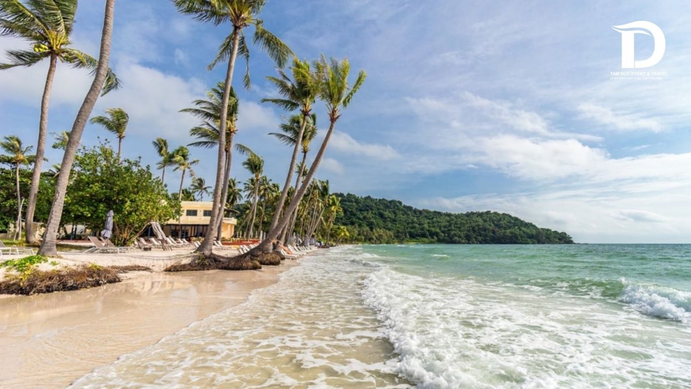 Tâm Đức Event & Travel 
