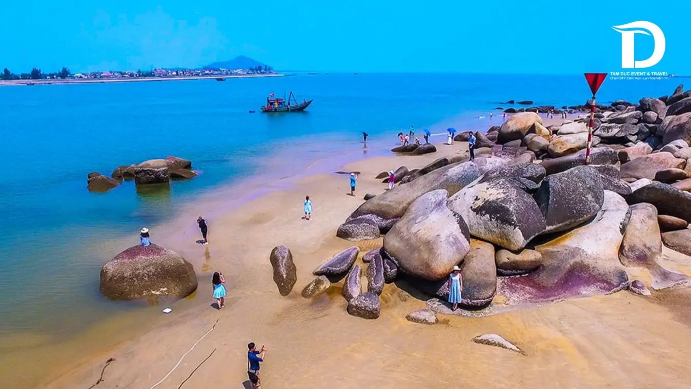 Tâm Đức Event & Travel 