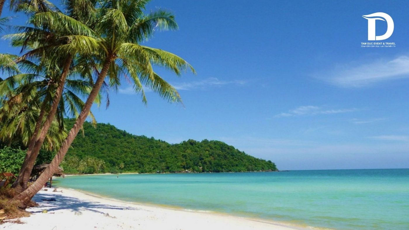 Tâm Đức Event & Travel 