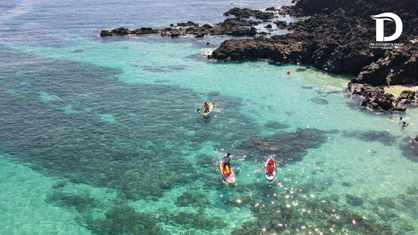 Tâm Đức Event & Travel 