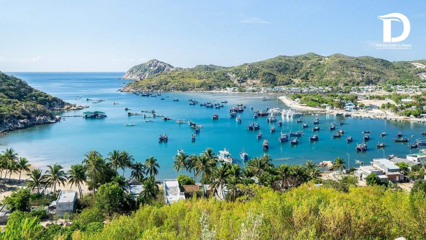 Tâm Đức Event & Travel 