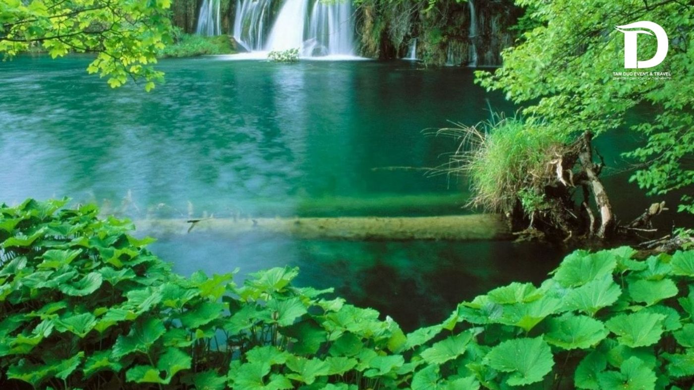 Tâm Đức Event & Travel 
