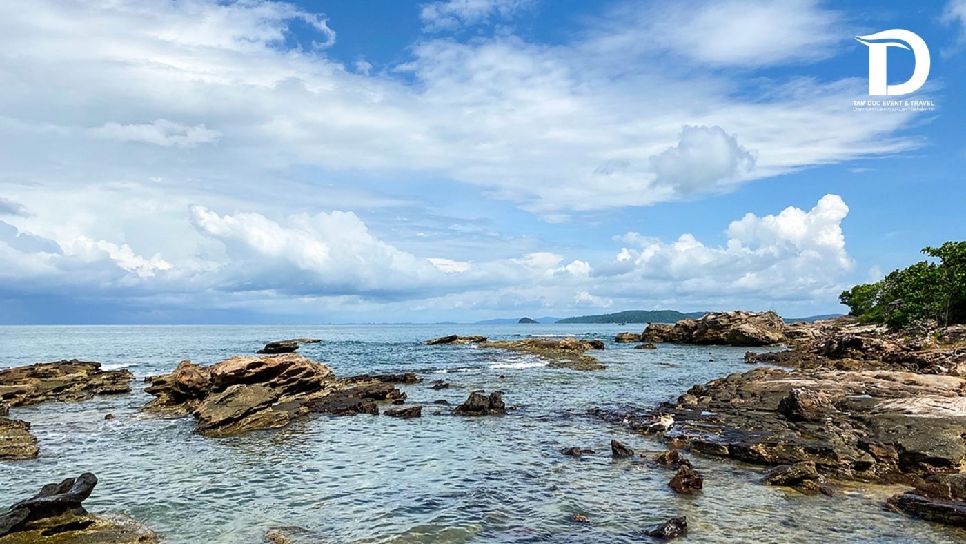 Tâm Đức Event & Travel 