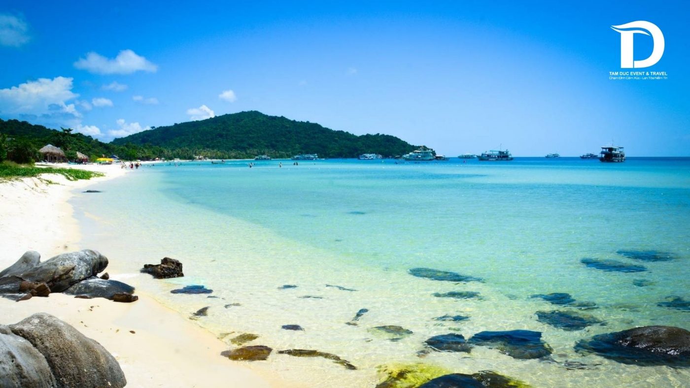 Tâm Đức Event & Travel 