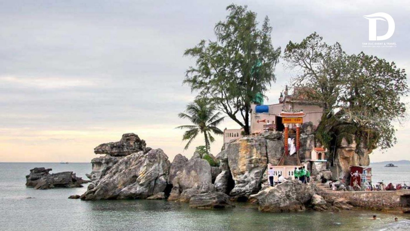 Tâm Đức Event & Travel 