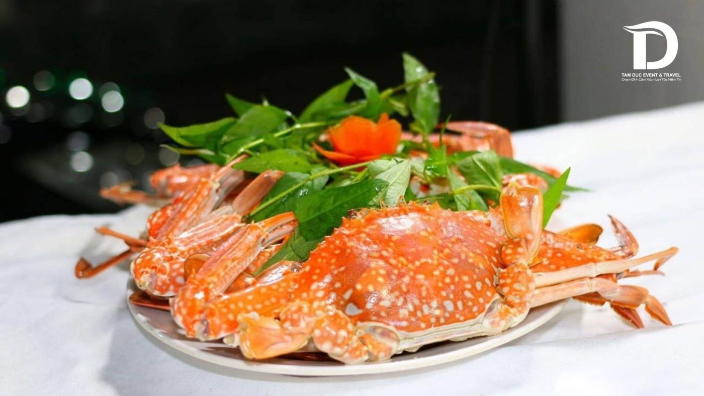 Tâm Đức Event & Travel 