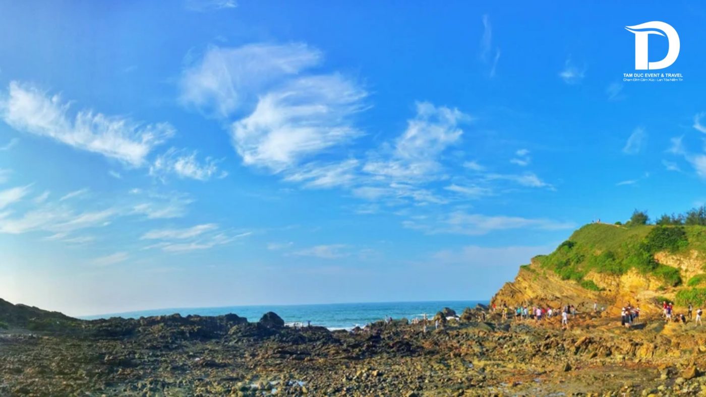 Tâm Đức Event & Travel 