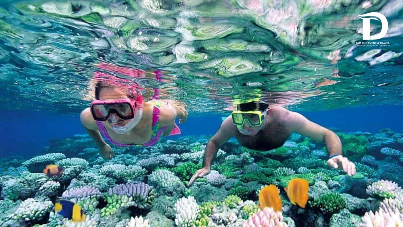 Tâm Đức Event & Travel 