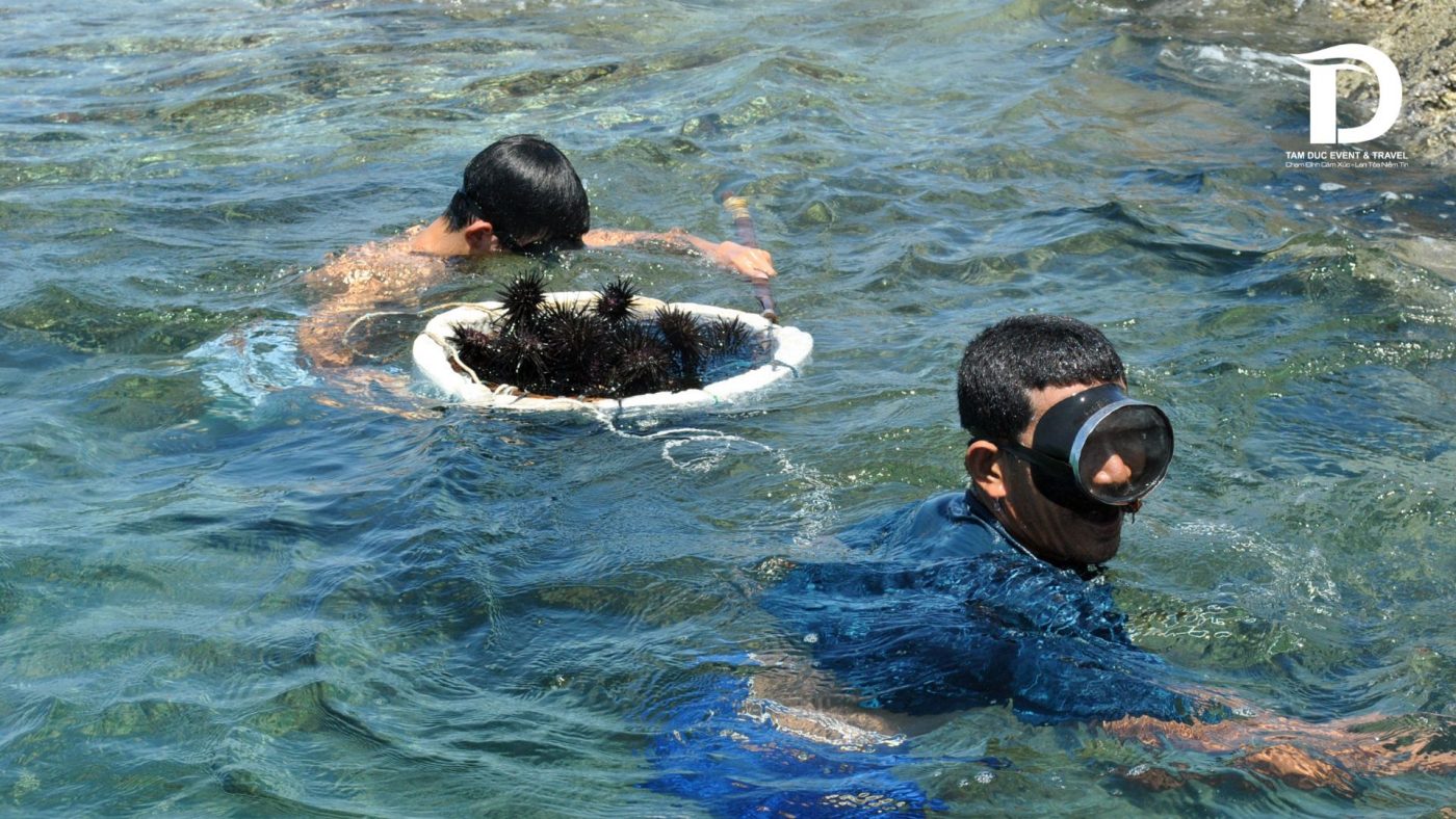 Tâm Đức Event & Travel 