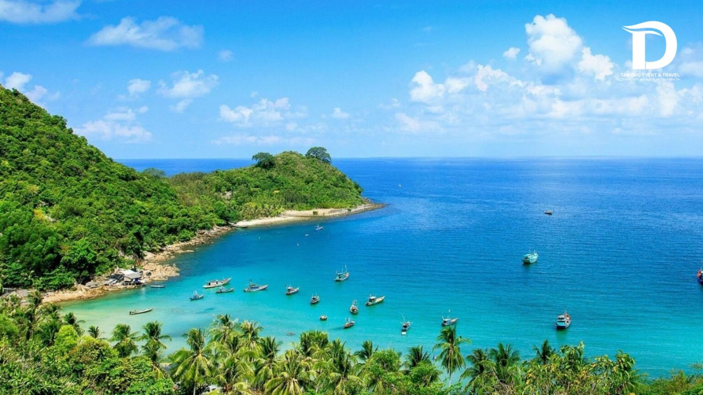 Tâm Đức Event & Travel 