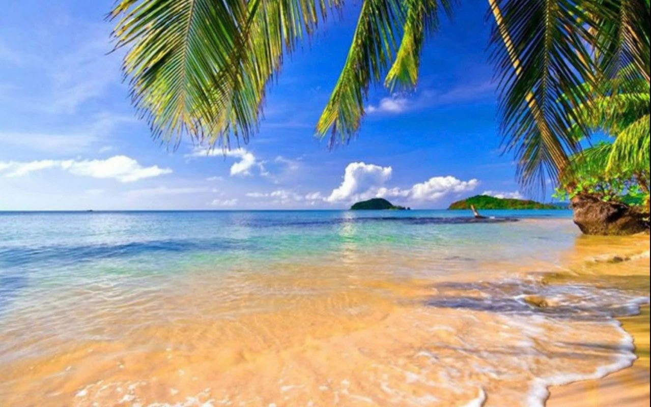 Tâm Đức Event & Travel 