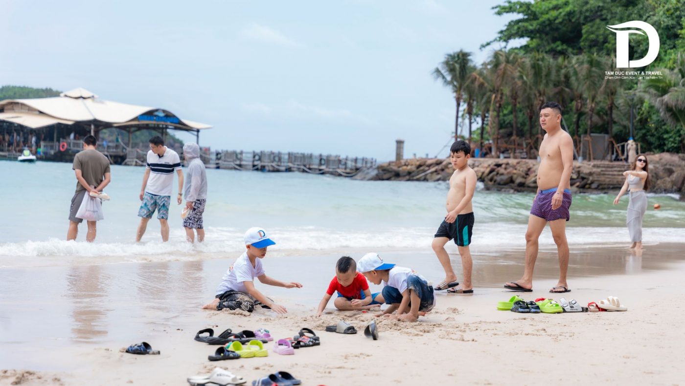 Tâm Đức Event & Travel 
