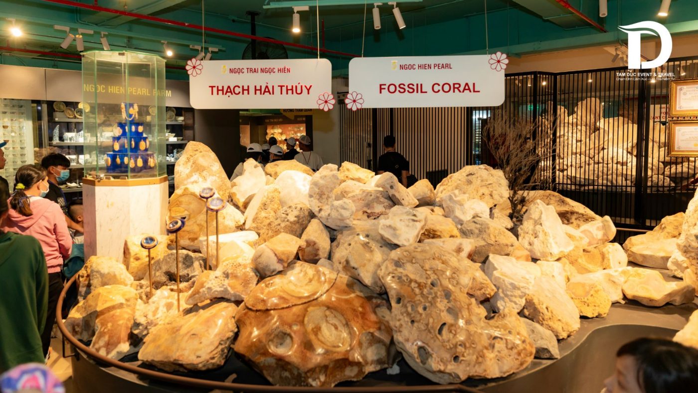 Tâm Đức Event & Travel 